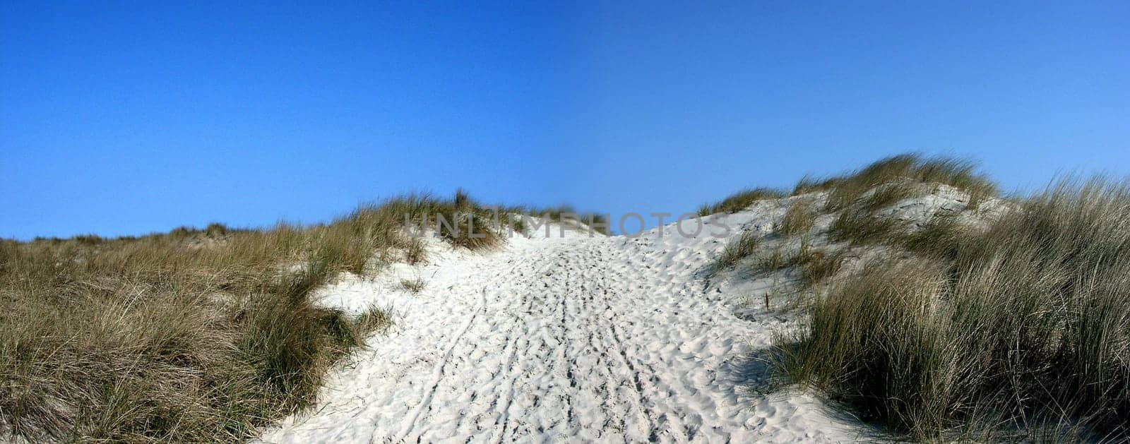 Dune on Baltrum North Sea island