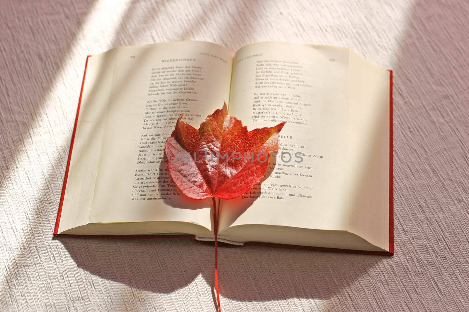 Bookmark