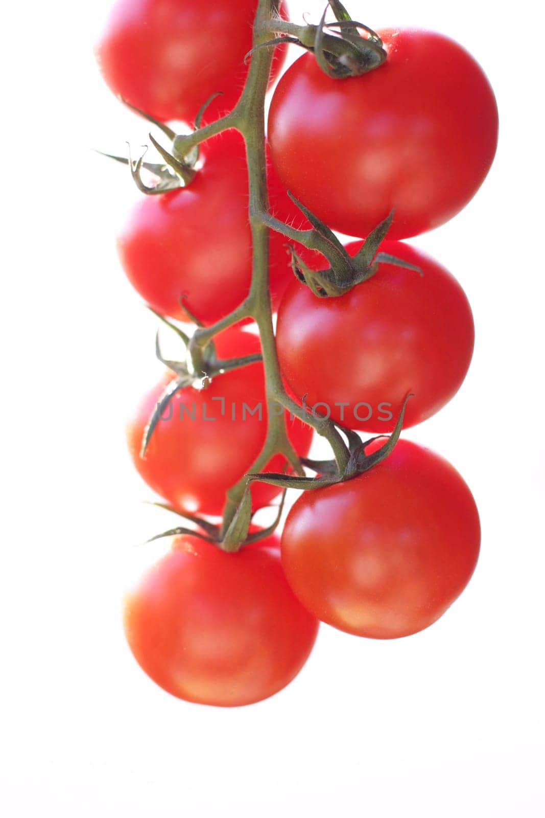 Cocktail tomatoes