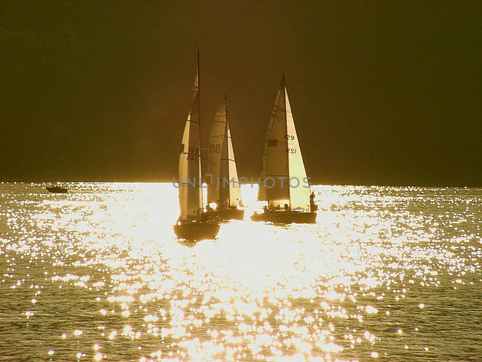 Sailboats