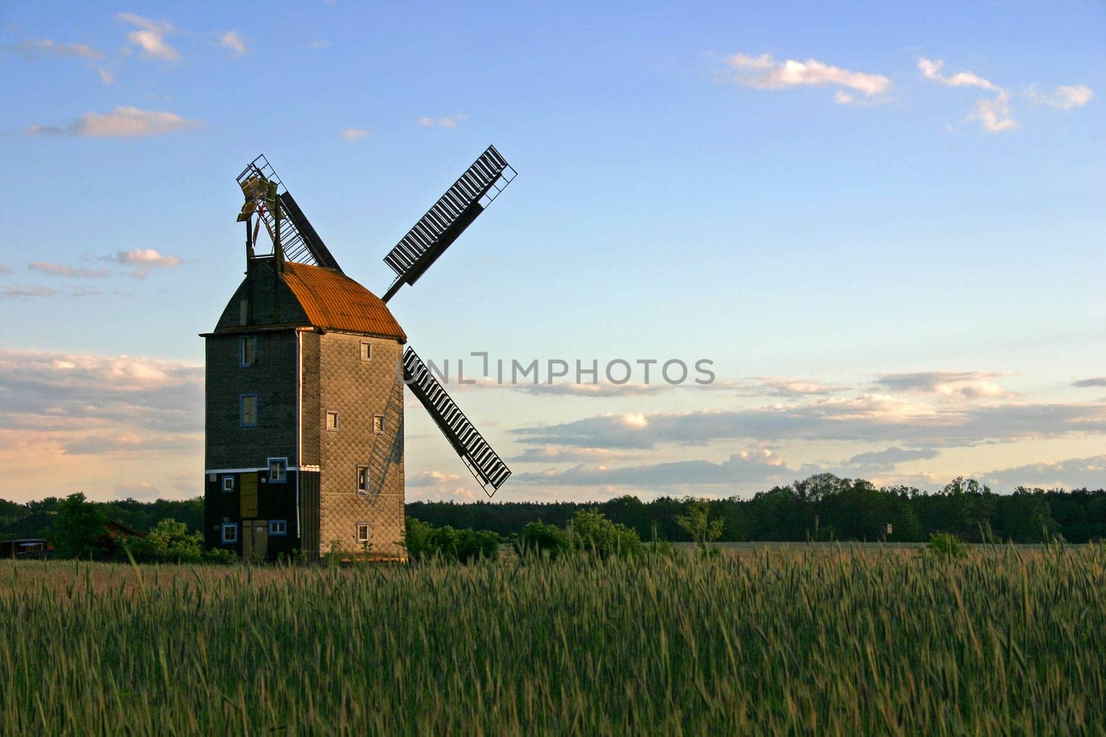 Brandenburgische Mühle 2