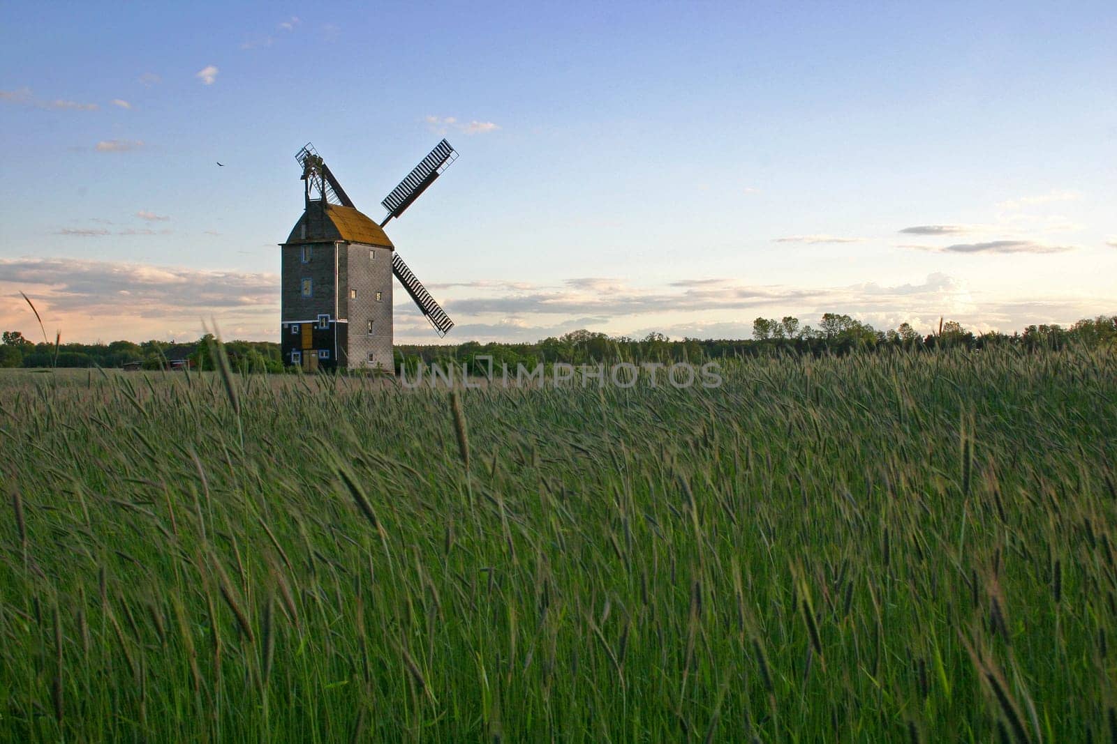 Brandenburg windmill