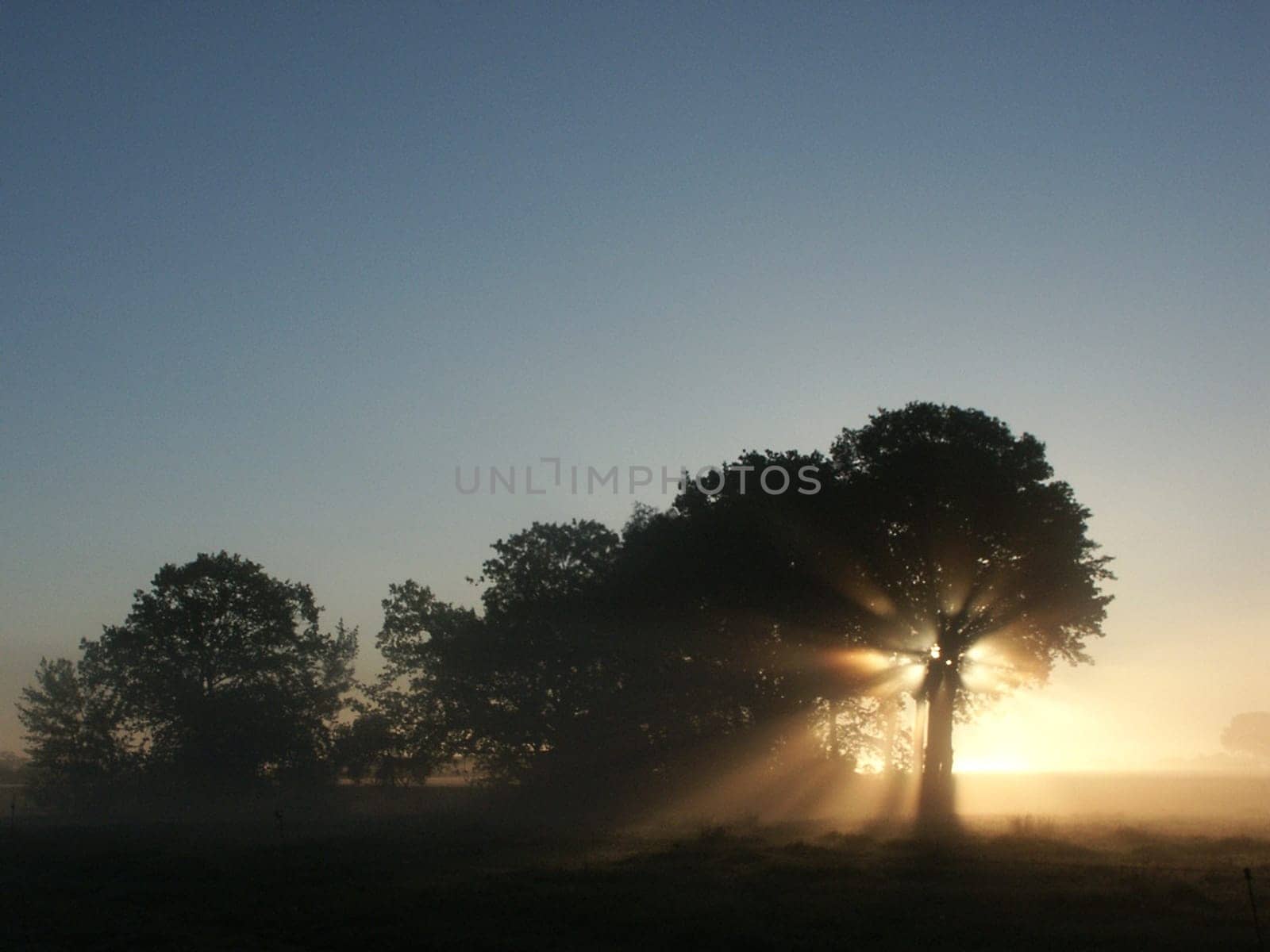 This photo was taken in September 2004 shortly after sunrise on a meadow in Schleswig-Holstein. Recorded with a Minolta D7i.