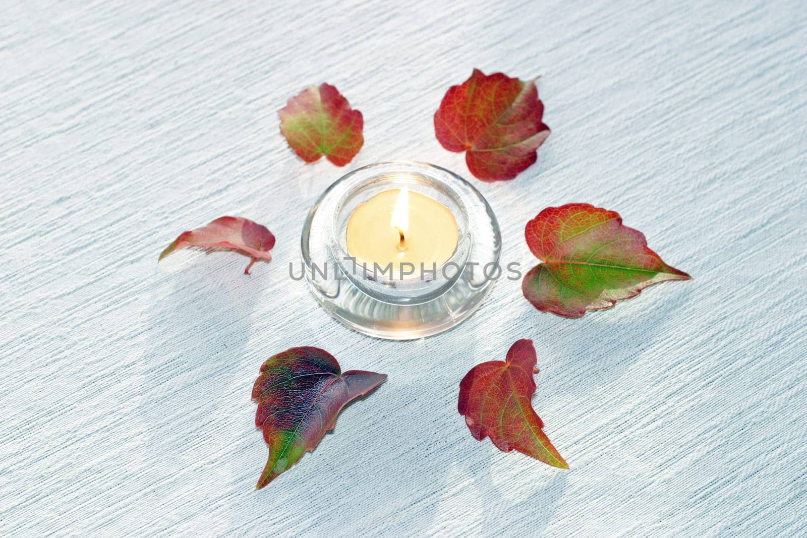 Autumn Star