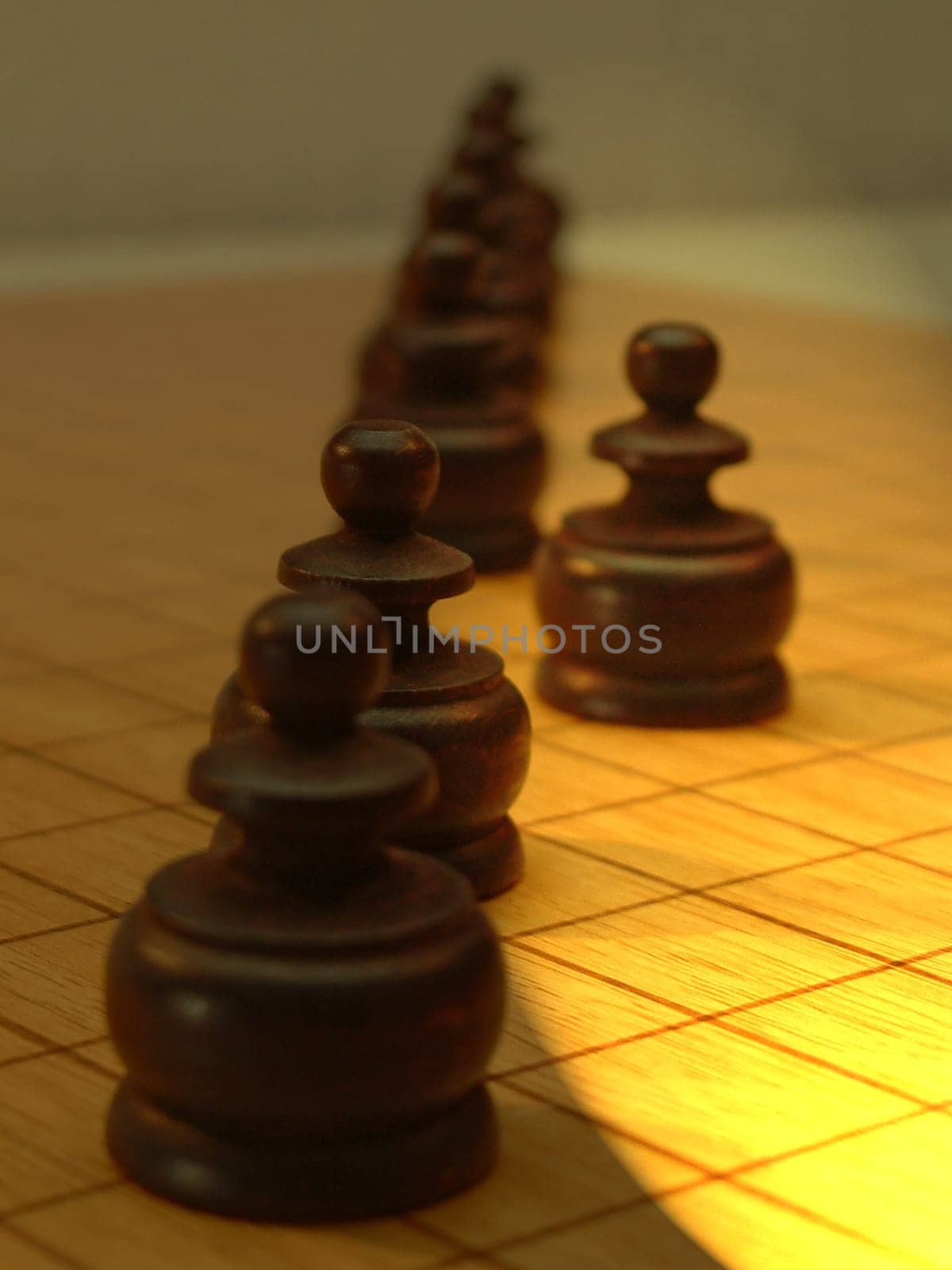 Chess15