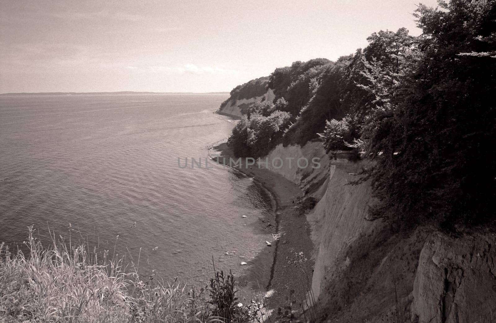 Rügen Chalk Coast IV