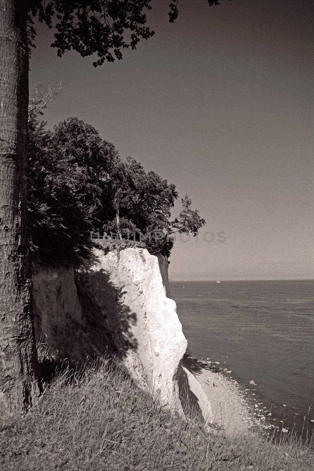 Rügen Chalk Coast III