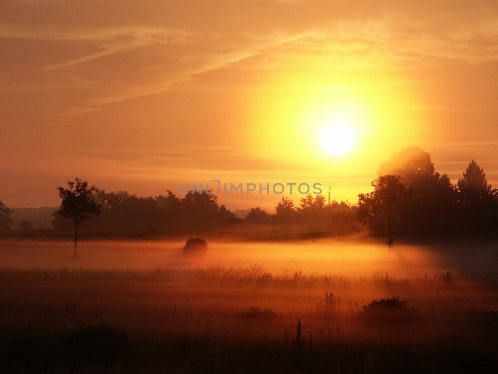 Morning Mist 03