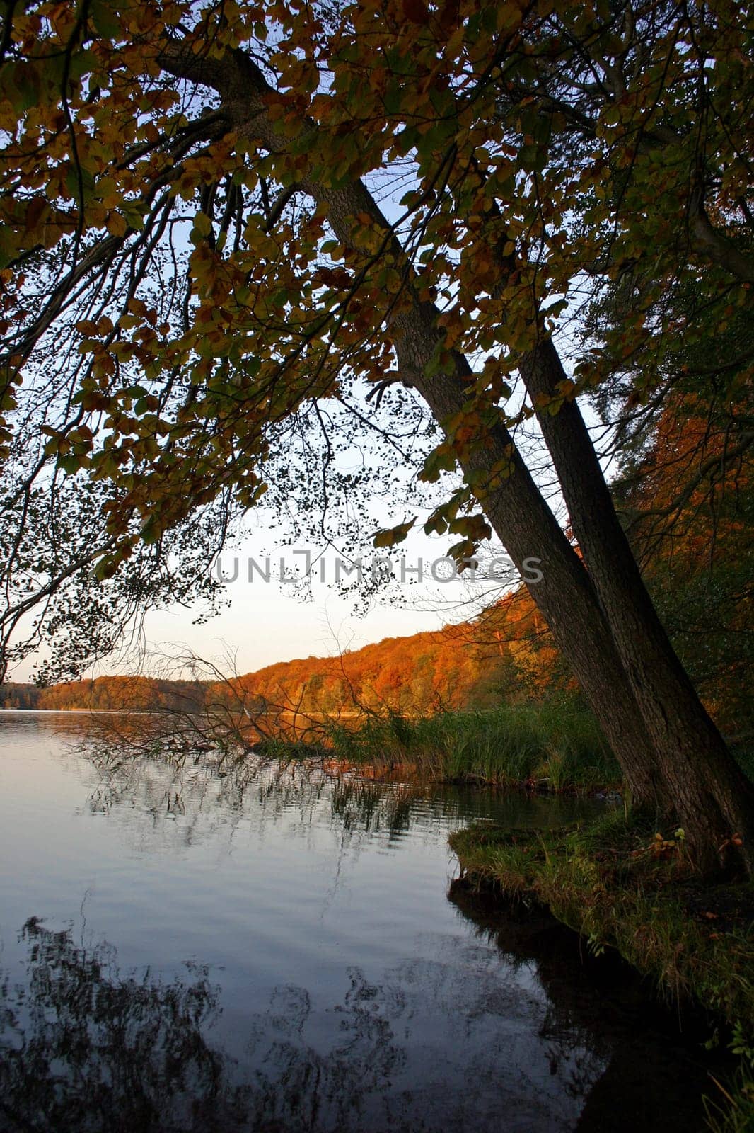 Liebnitzsee