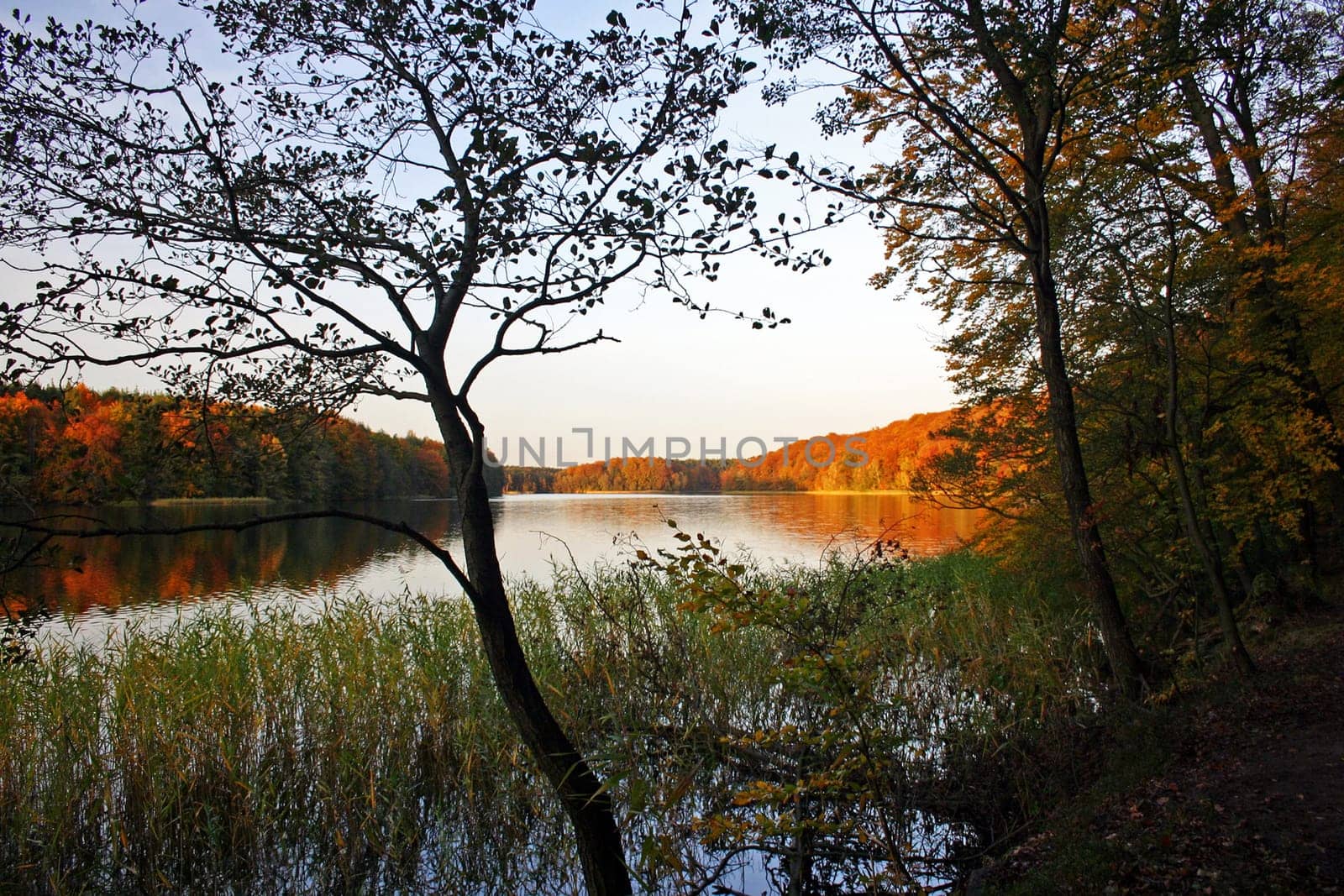 Liebnitzsee 3