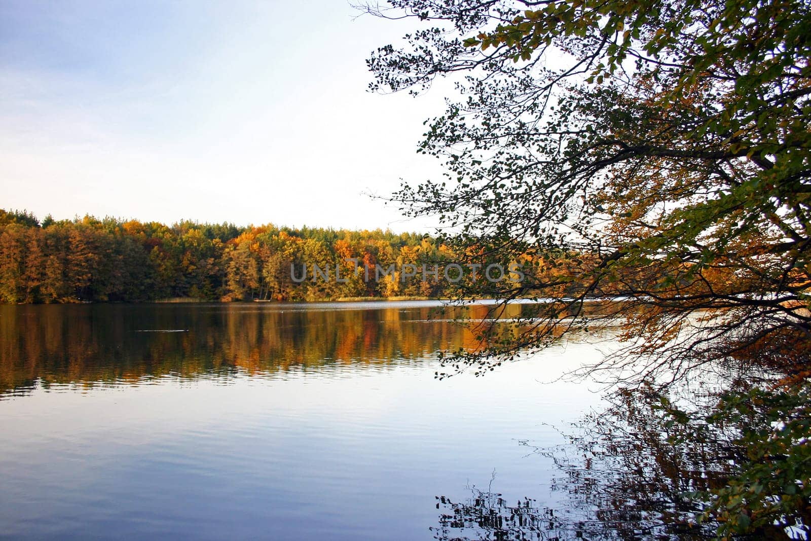 Liebnitzsee 7
