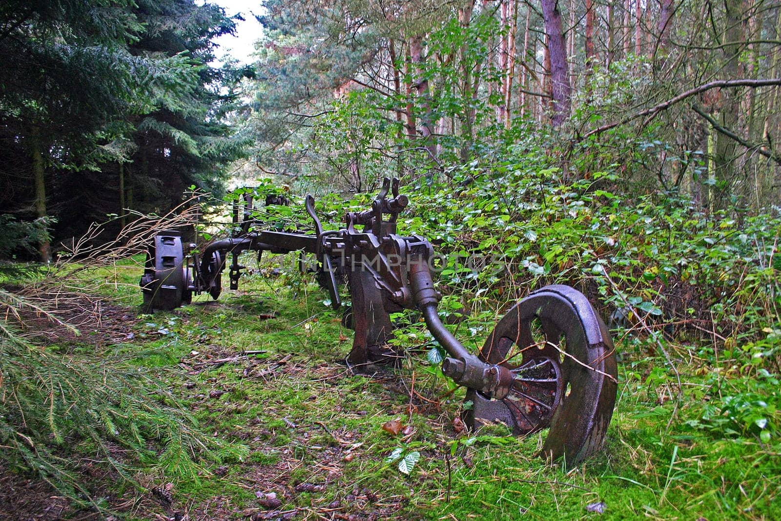 found in the forest of Lancken-Granitz on Rügen
