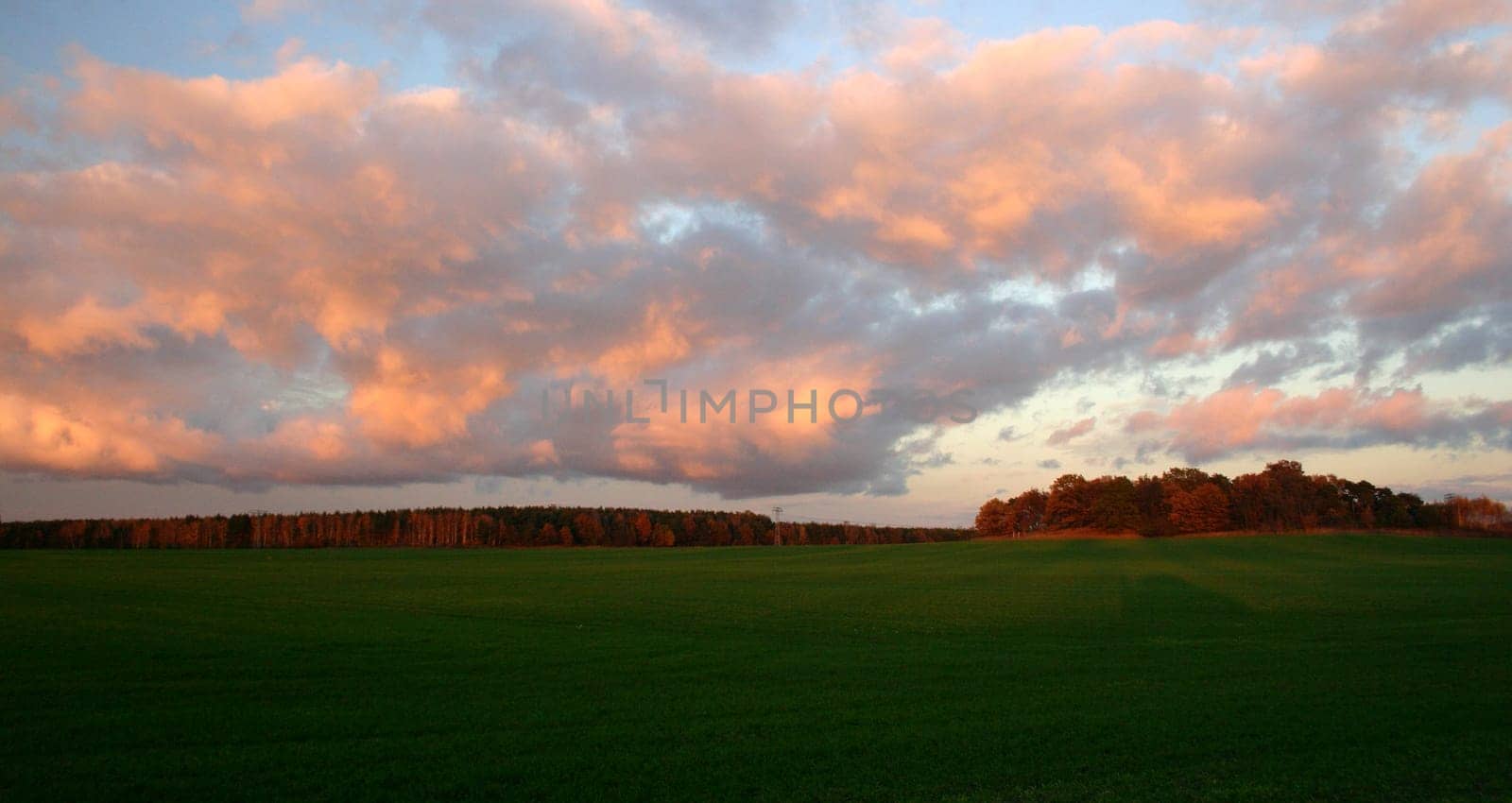 the last light of the day