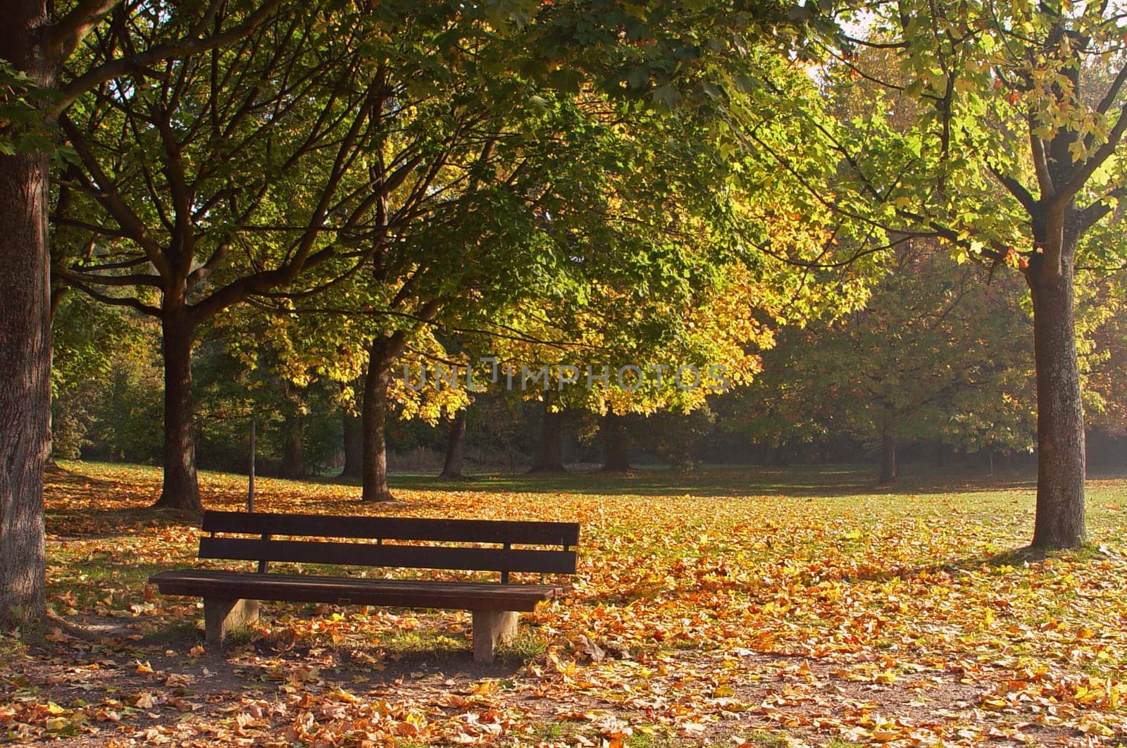 Autumn mood