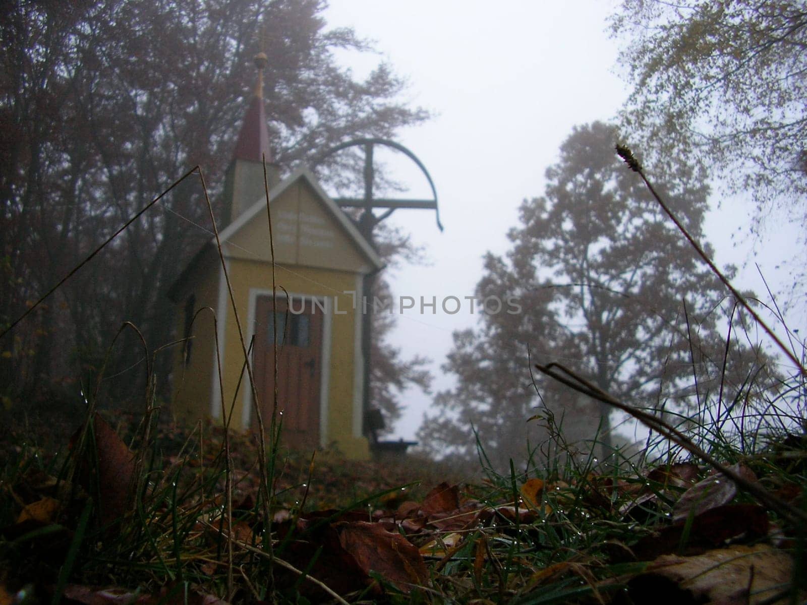 Chapel in the forest