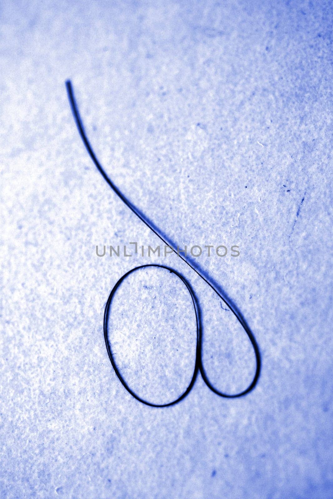 I'm sitting there on the toilet and I see a hair on the floor,I thought to myself,it looks kind of like a lady's buttocks with a back,well,that's it,of course I photographed it right away with Canon EOS 300 D macro 50 mm and flash EZ 420 over the wall