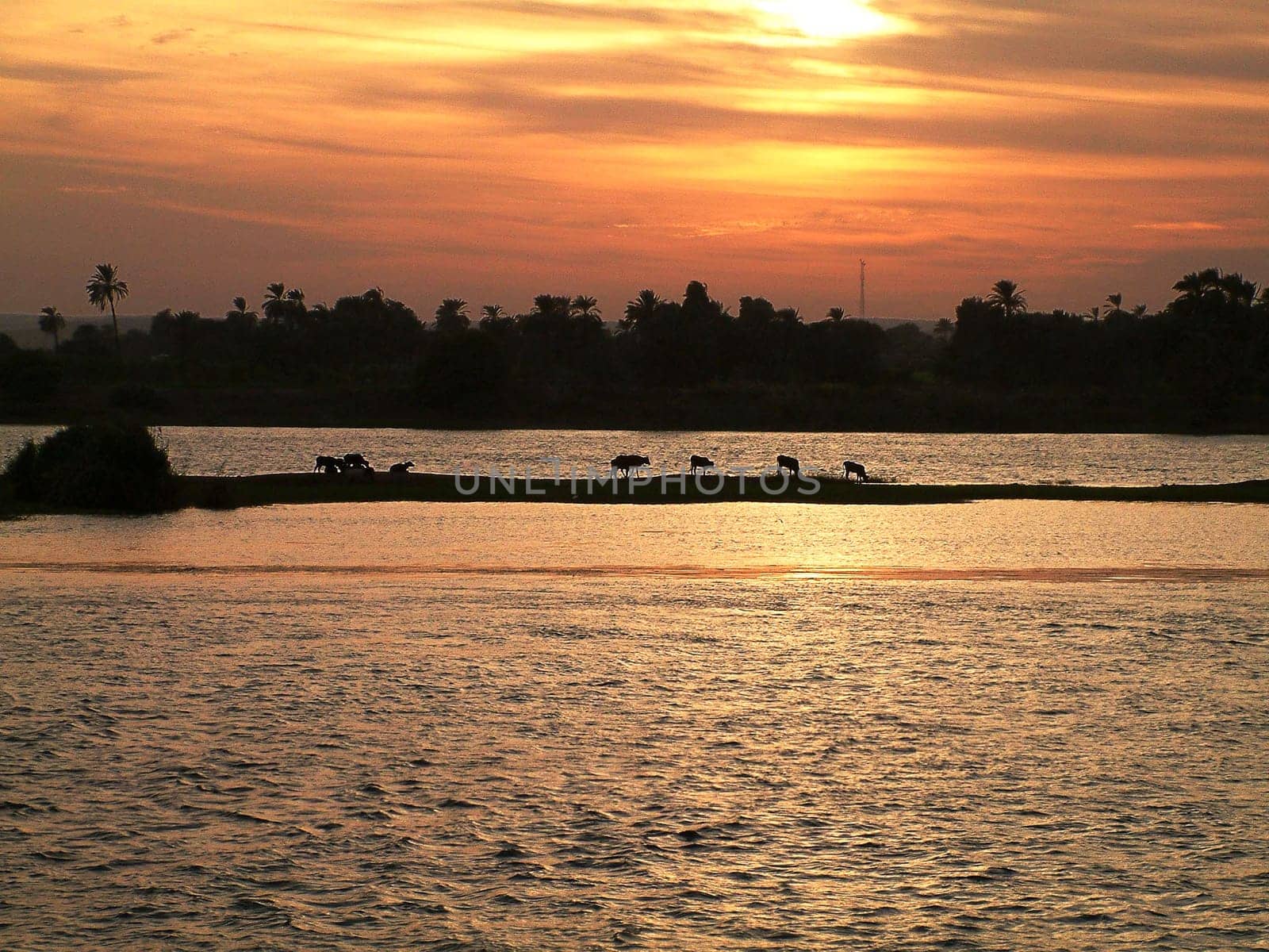 Created Nov. 2003 on a Nile cruise