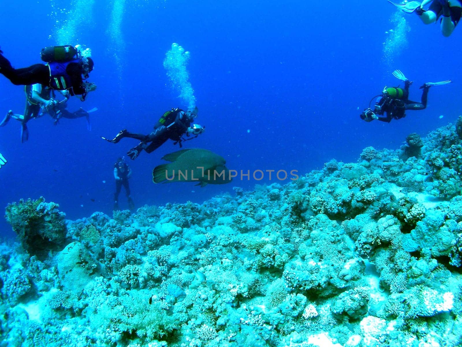The larger of the two panoramic reefs of Nappo is harassed by half a dozen photographers. More technology than nature. cautiously zoomed out of the background.