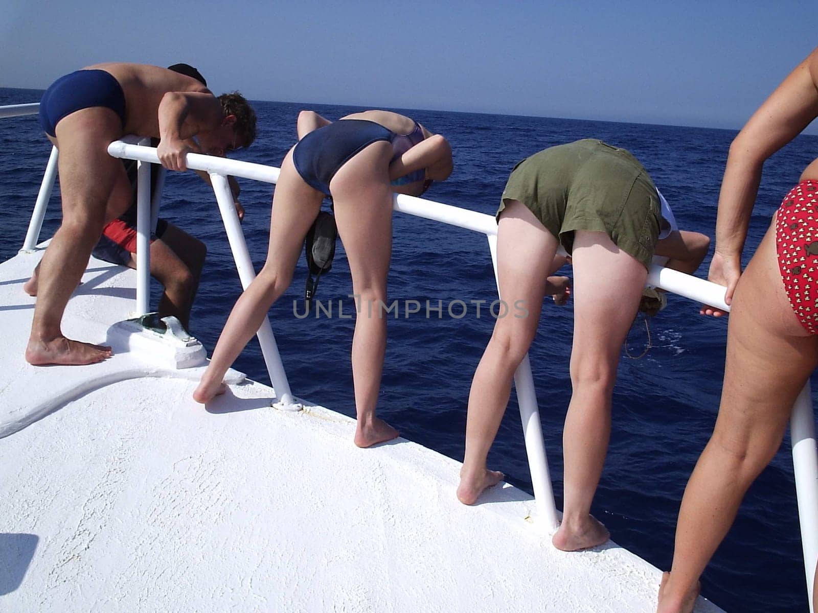 Whenever dolphins ride in the bow wave,the girls crane their necks out after the critters. I like it!