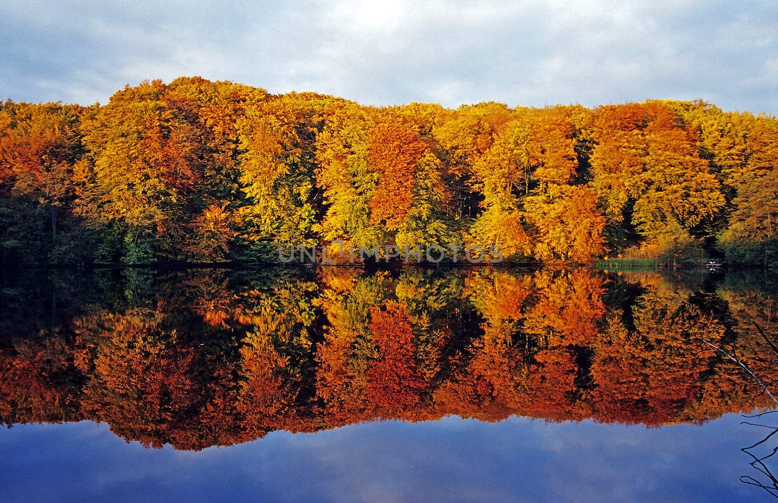 The colors of autumn