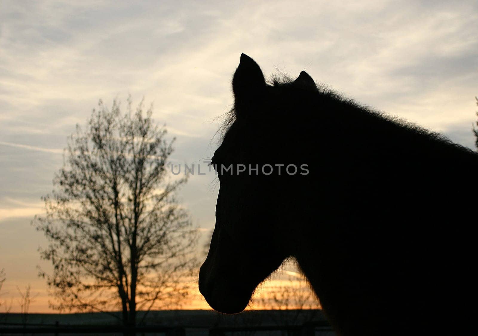 Light and shadow