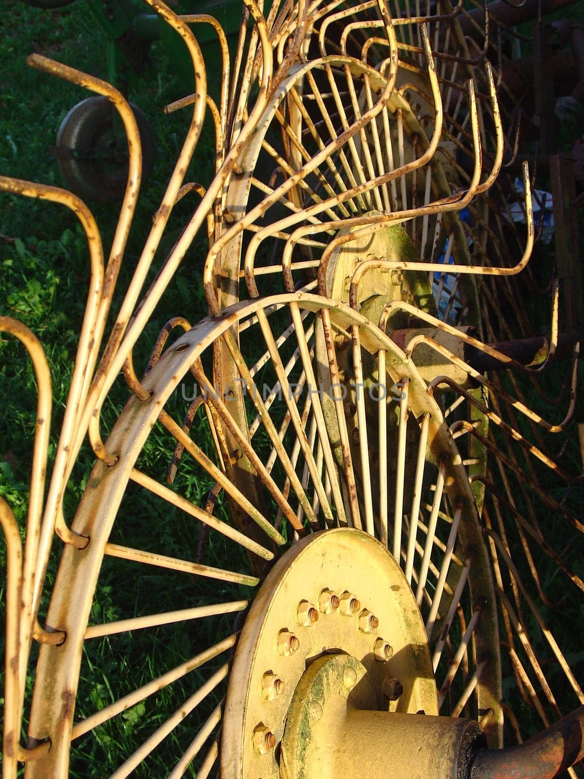 Wheel