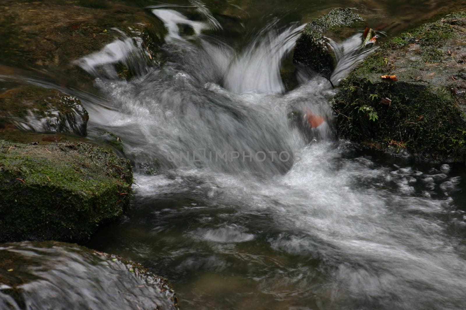 .... in the Silberbachtal Dec 04