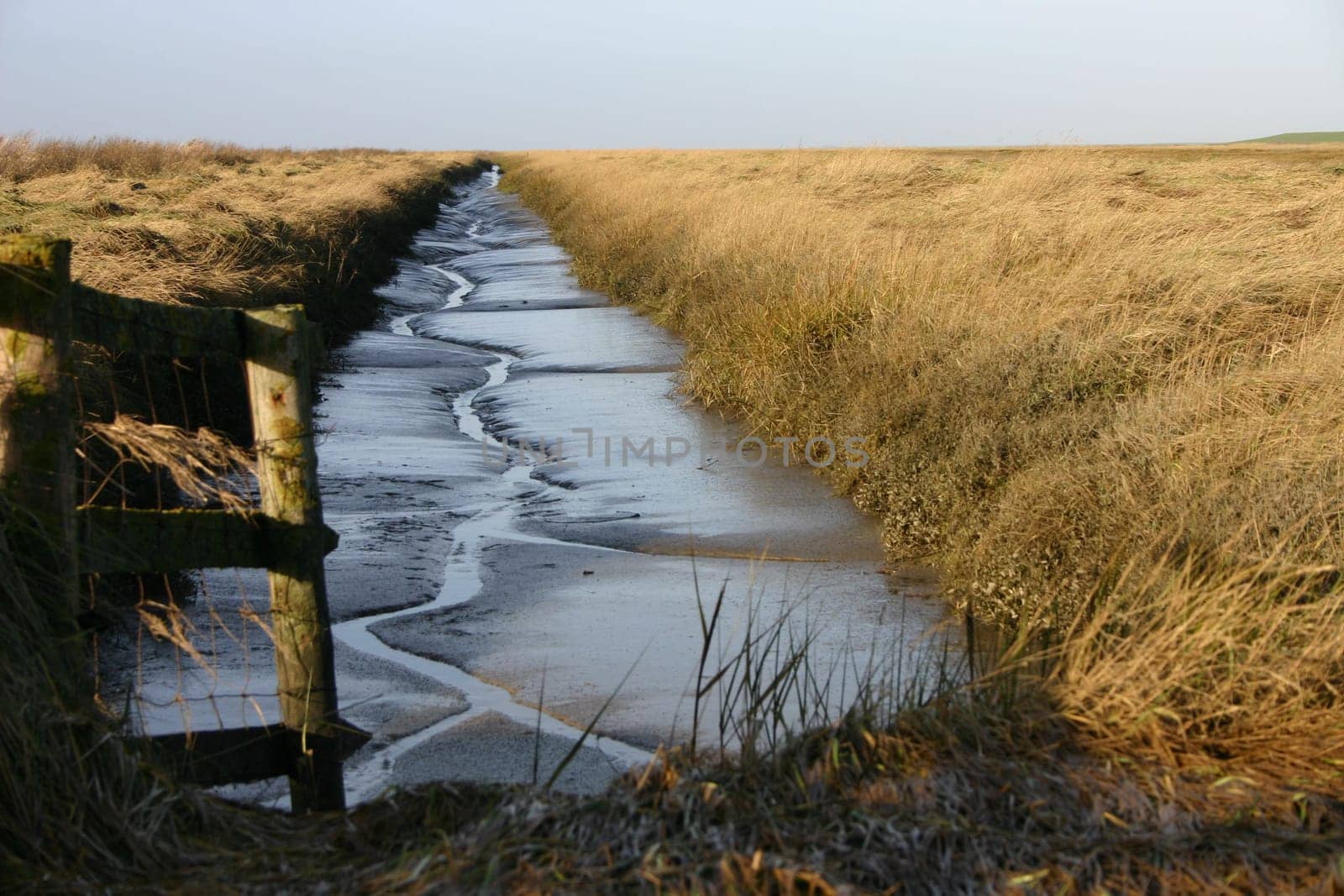 Unfortunately,I do not know what these trenches are called. they are located in the area between Hallig and Deich...
