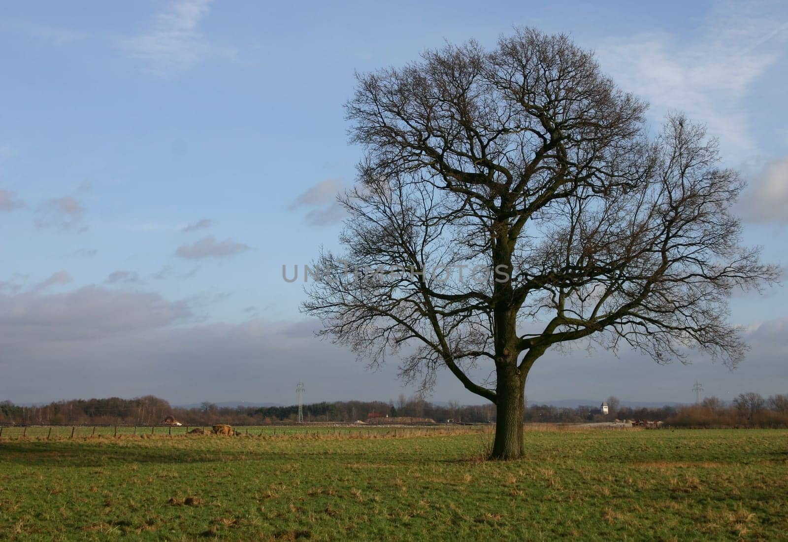 taken near the Lippe / near Sande