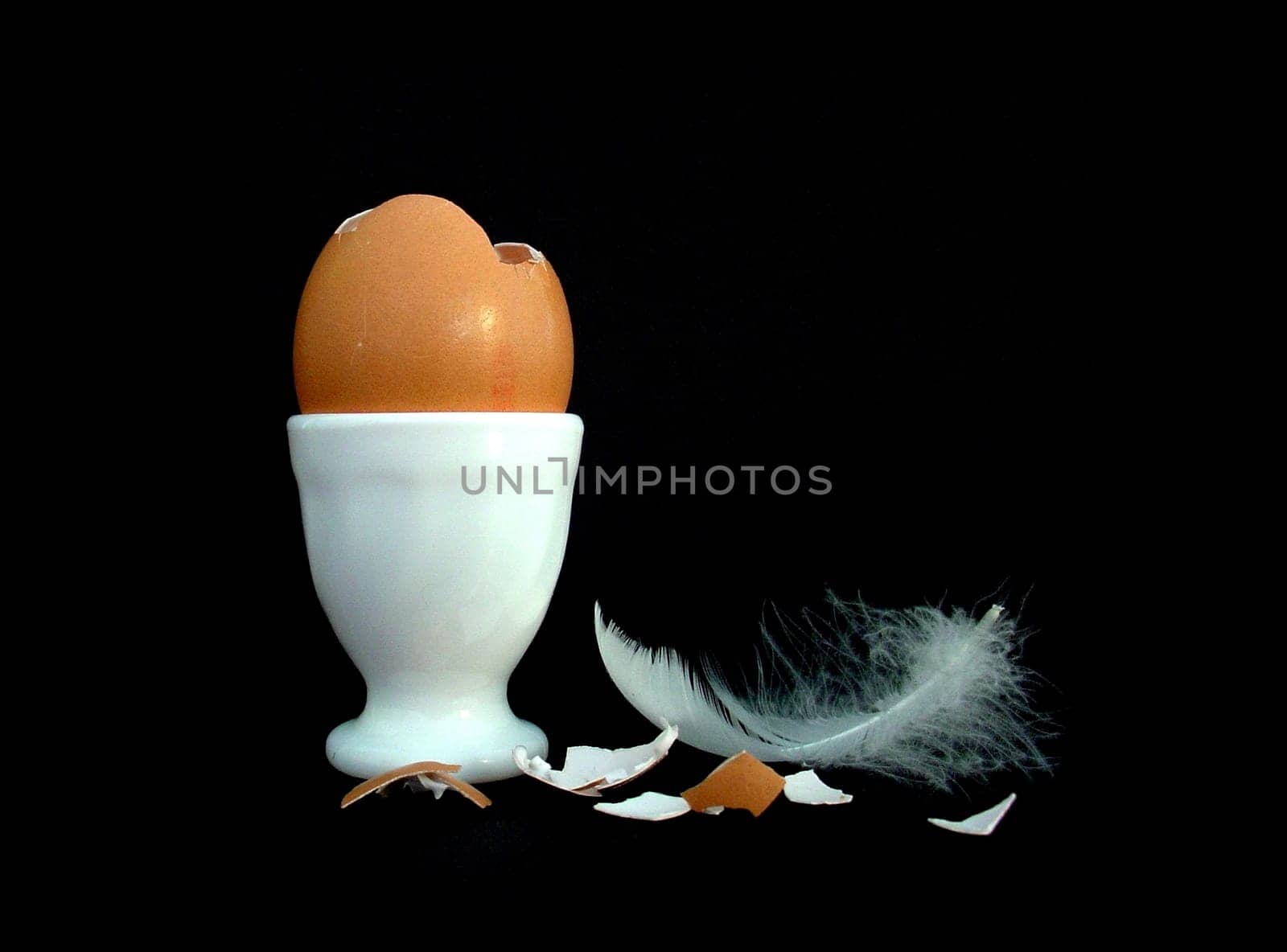 The Egg