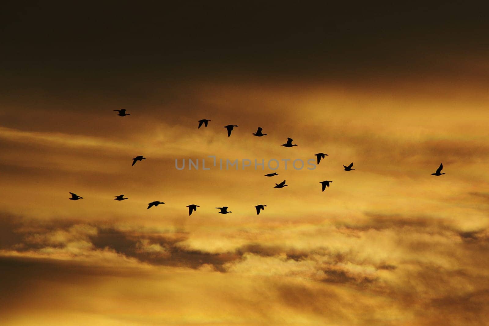 my first photo in the photo community,taken in the morning with the KonicaMinolta Dynax 7D