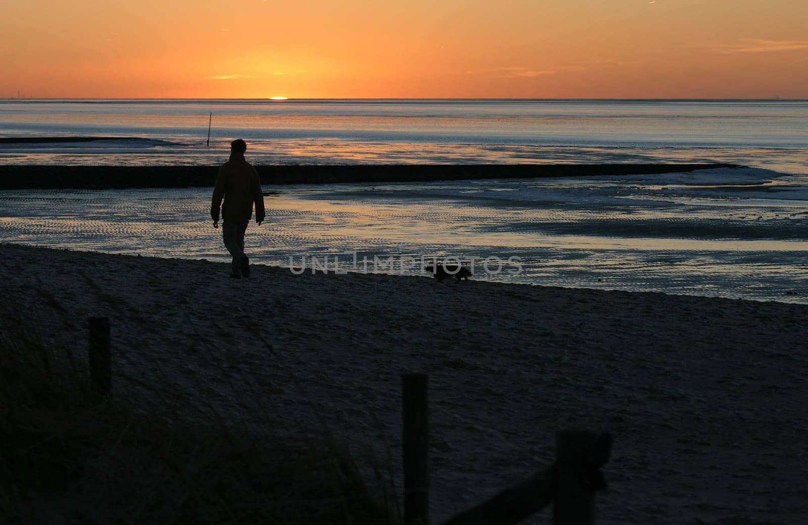 Go for a walk before the sun goes down