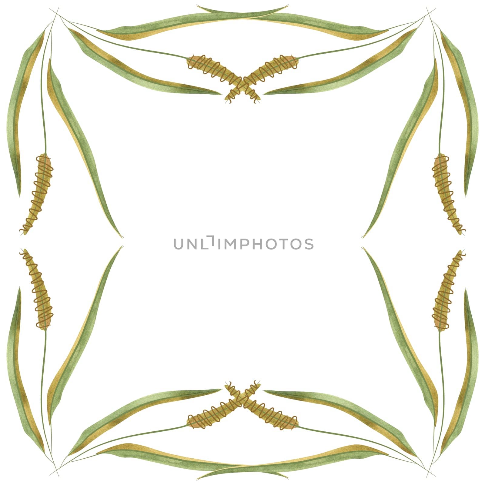 Square frame of field grasses, cereals, ears and leaves. Decor for graphic design, printing and packaging. Isolated hand-drawn watercolor illustration