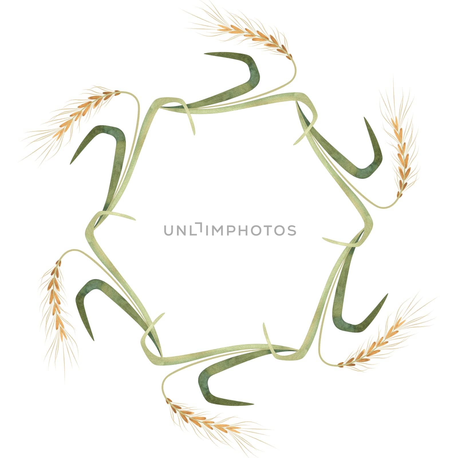 Wreath of wild grasses, cereals, ears and leaves. Decor for graphic design, printing and packaging. Isolated hand-drawn watercolor illustration
