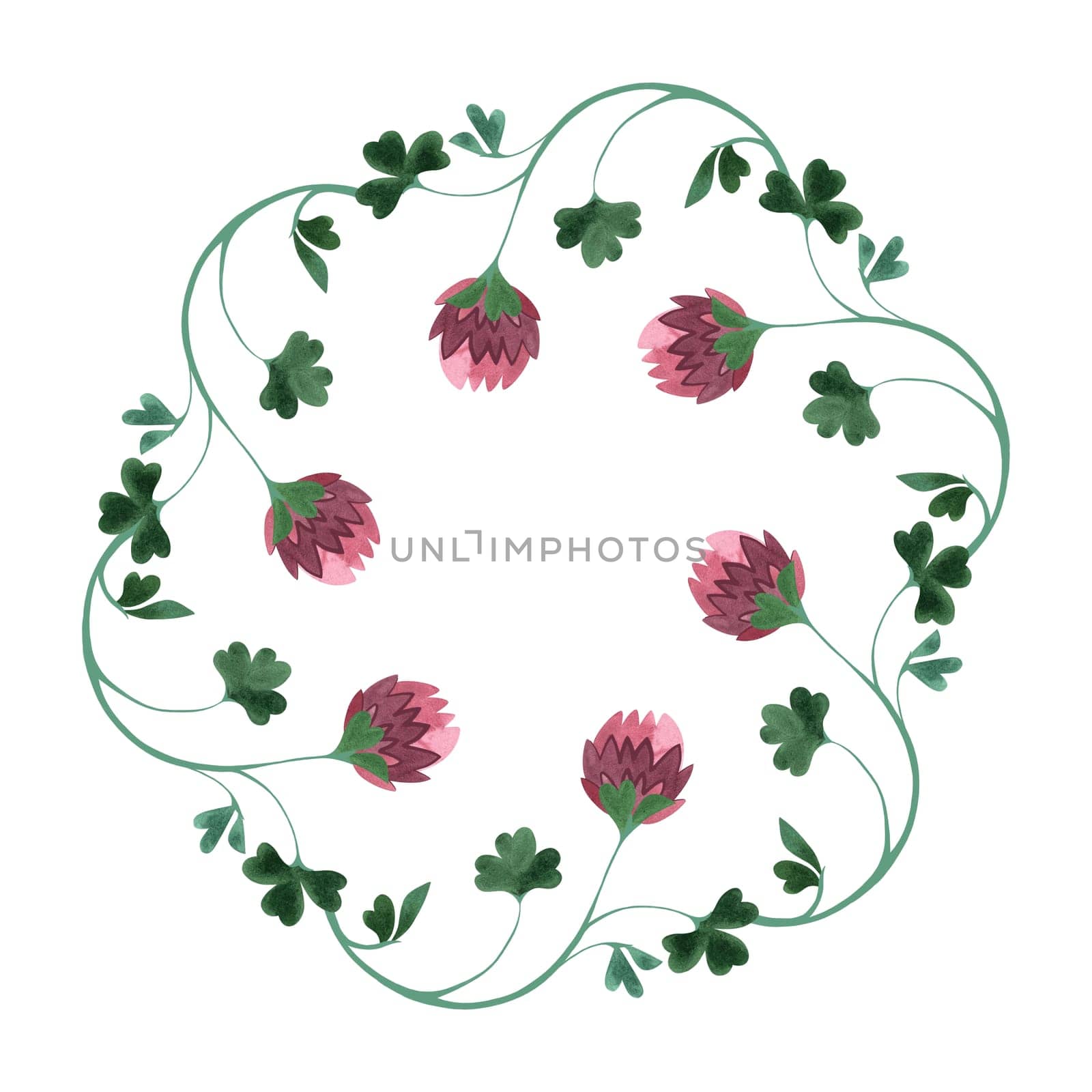 Wreath of wild clover and shamrocks. Decor for graphic design, printing and packaging. Isolated hand-drawn watercolor illustration