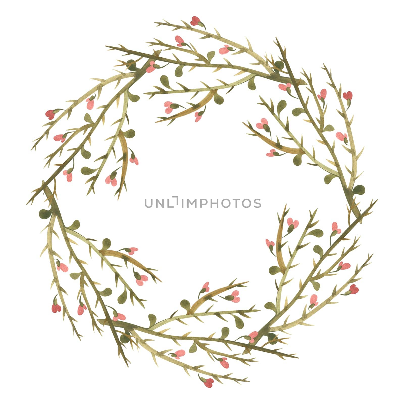 Camel thorn wreath. Decor for graphic design, printing and packaging. Isolated hand-drawn watercolor illustration