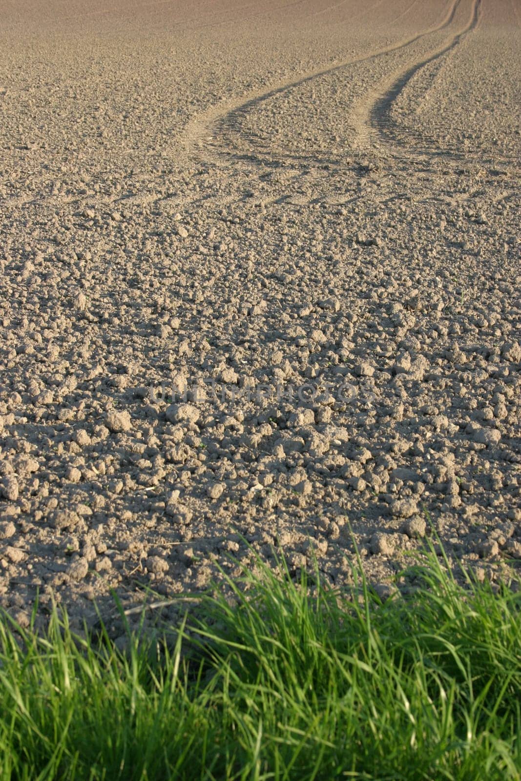 Ready for sowing
