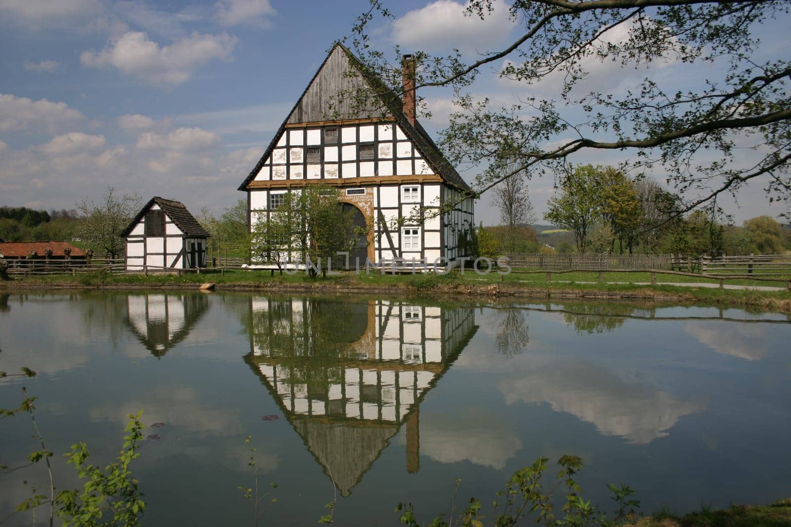Idyll at the village pond