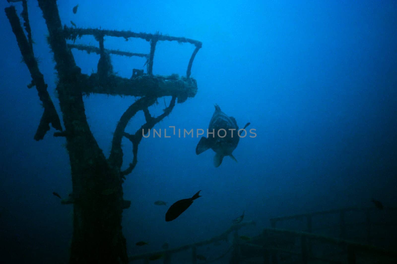 At the Halaveli wreck