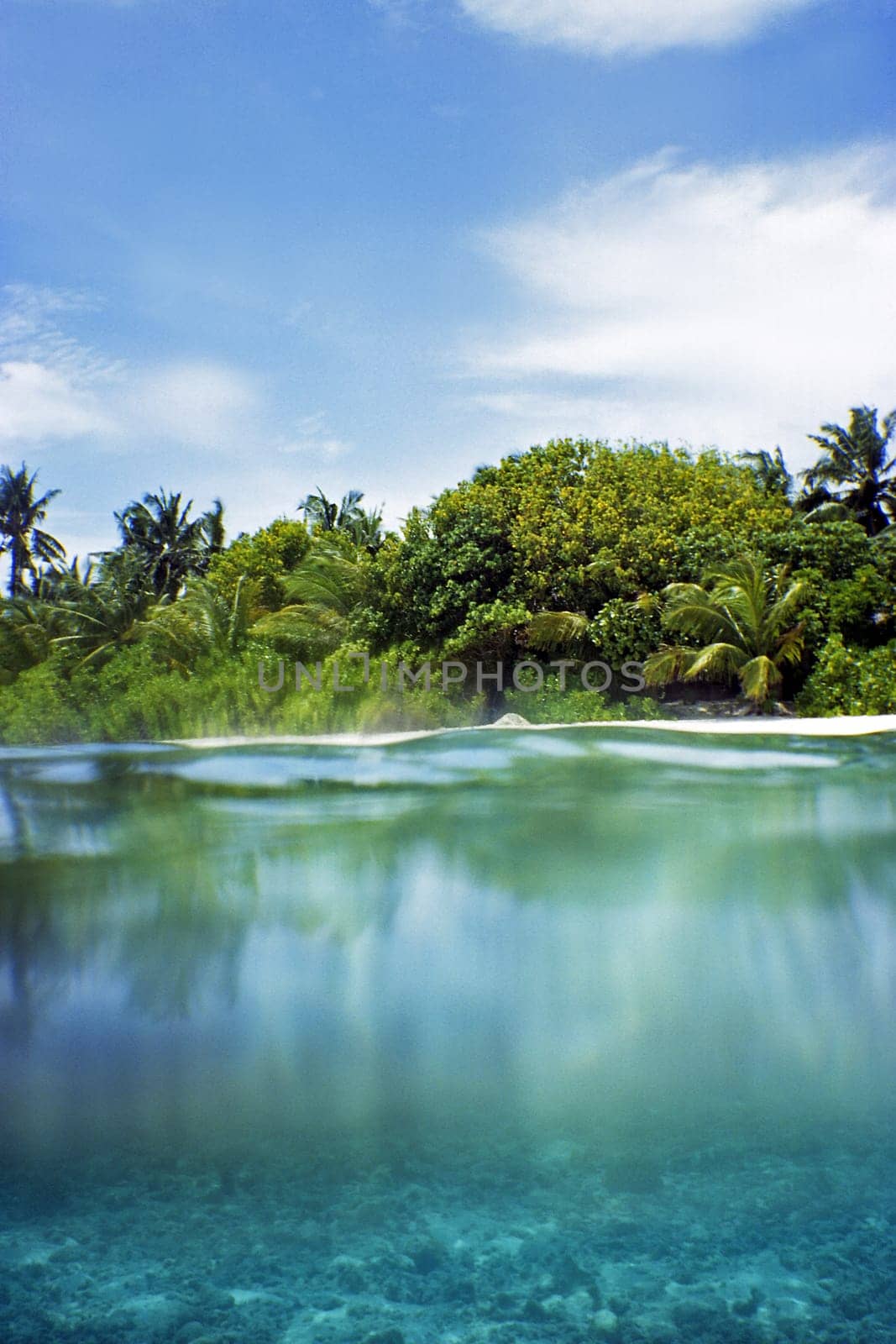 Island worlds