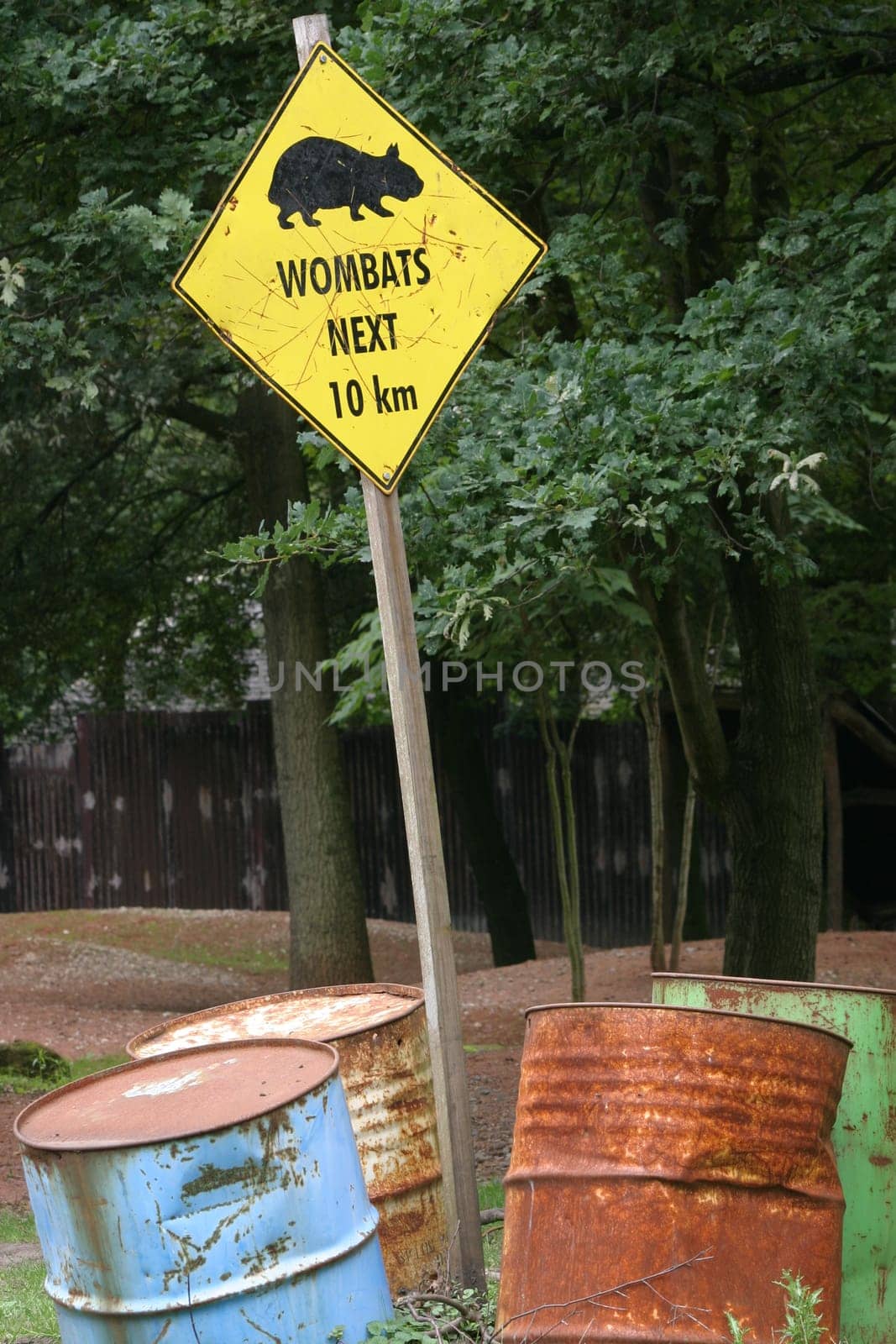 Attention,Wombats