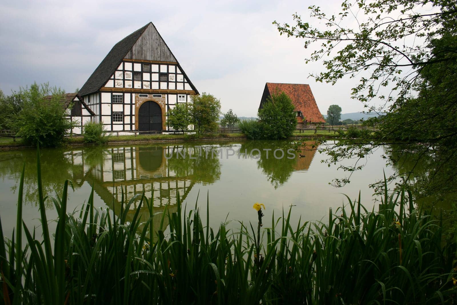 At the village pond