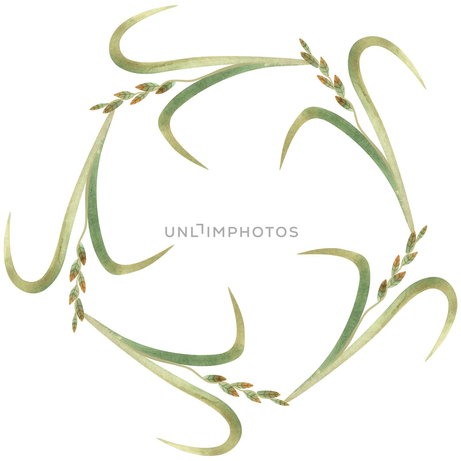 Wreath of wild grasses, cereals, ears and leaves. Decor for graphic design, printing and packaging. Isolated hand-drawn watercolor illustration.
