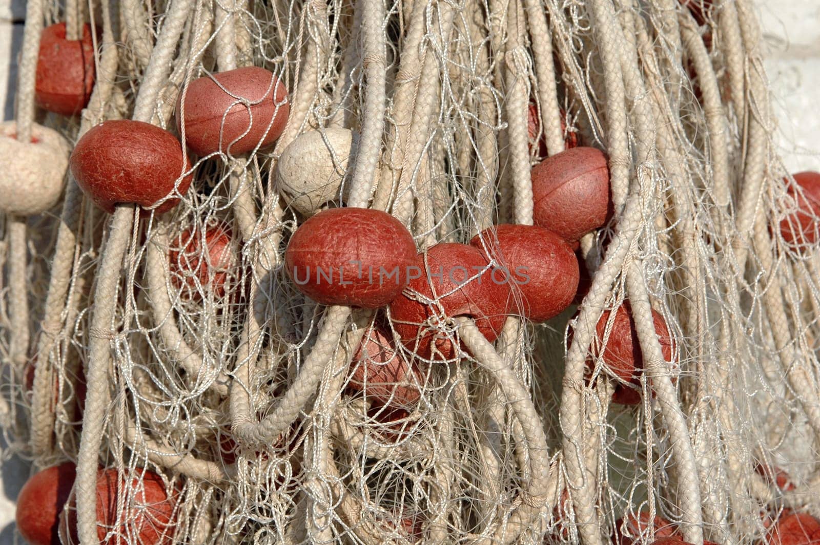 Fishing net