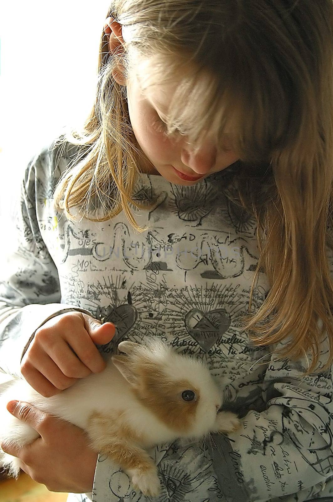 Finally a hare! First day at home.