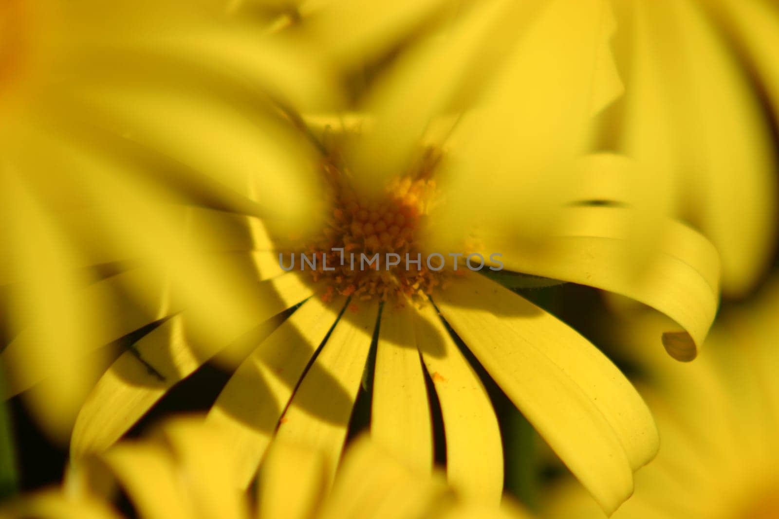 Yellower