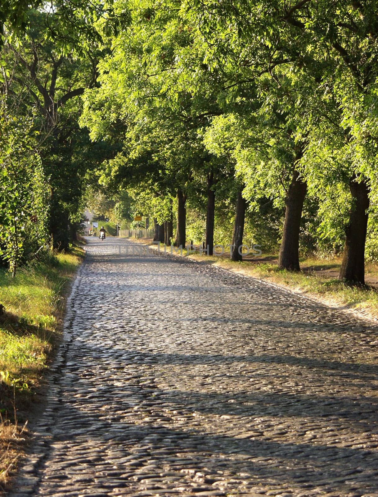 Avenue