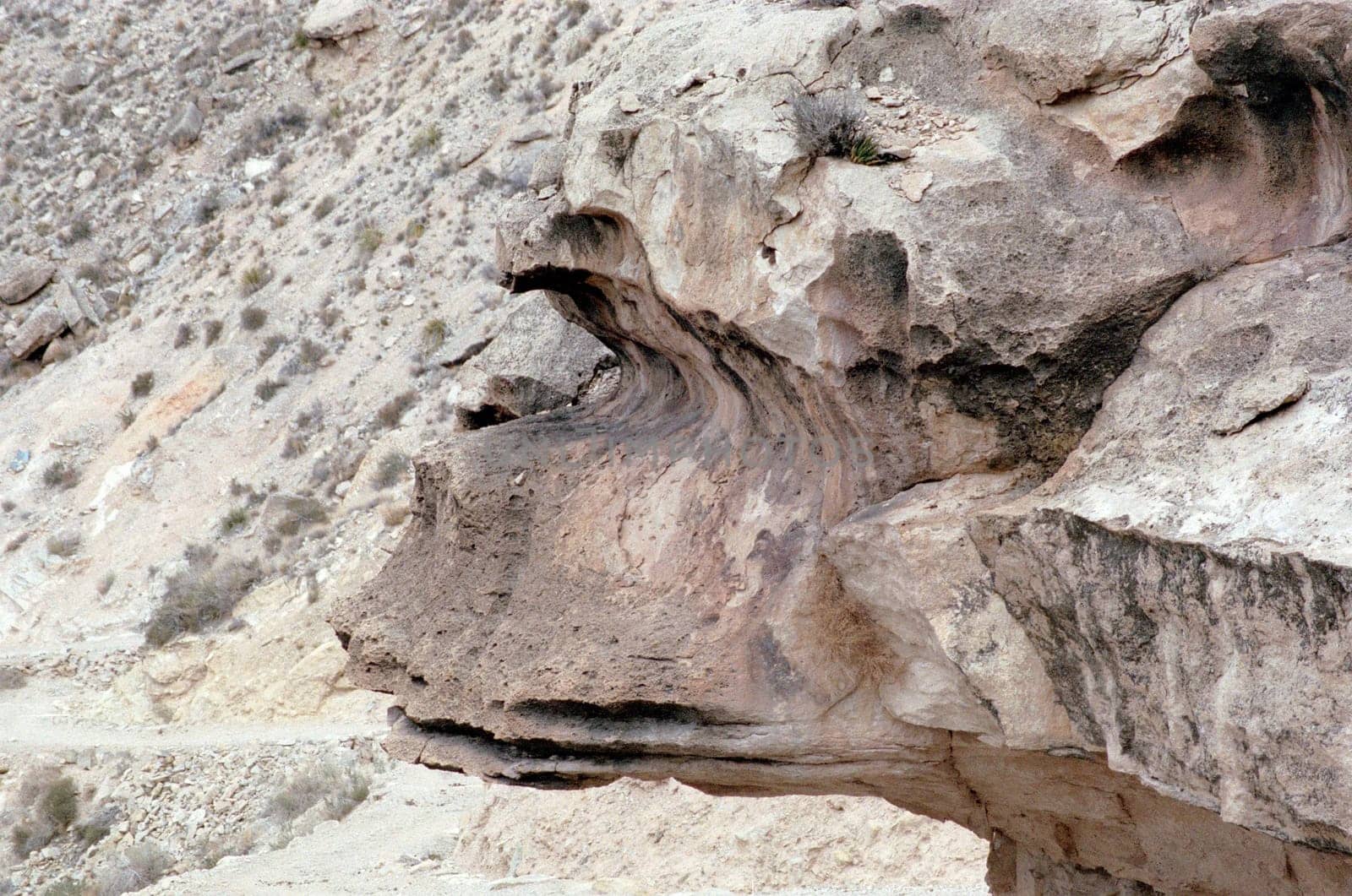 Monkey Rock