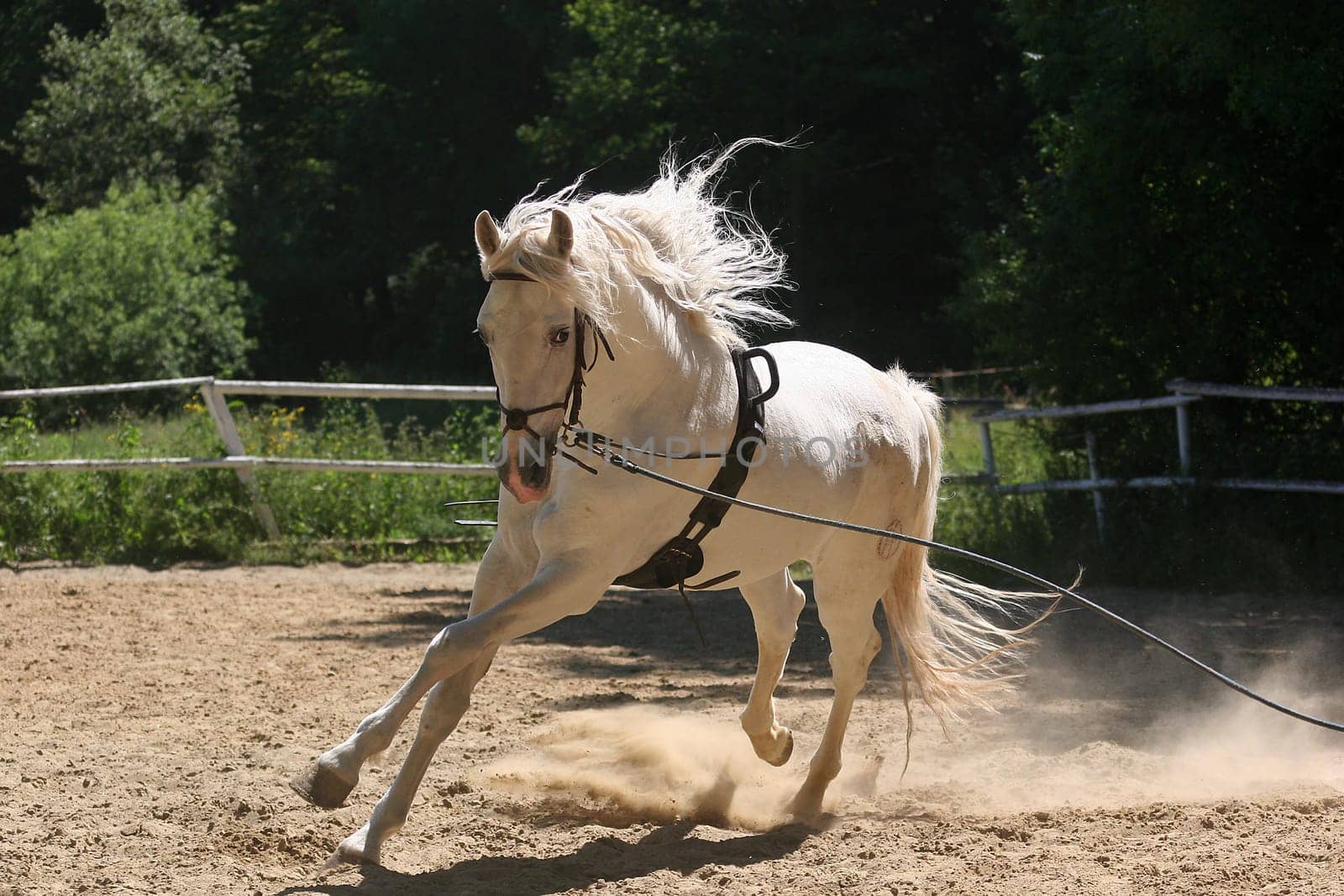 during training