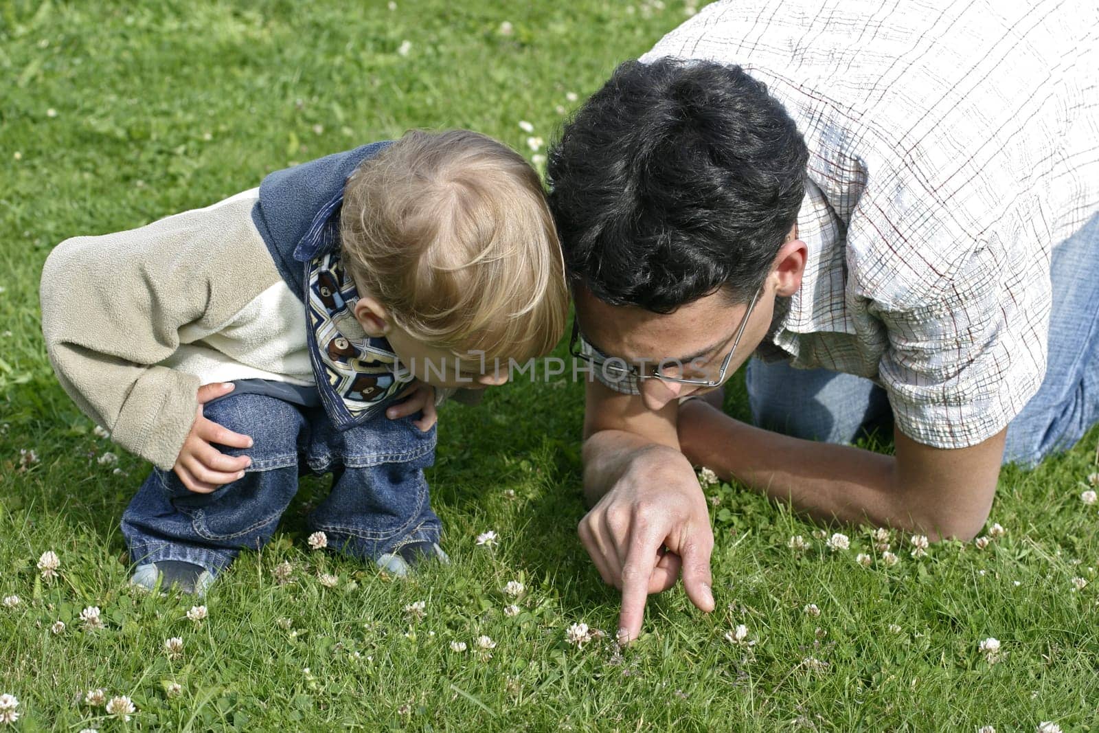 Father shows son a bee in the garden